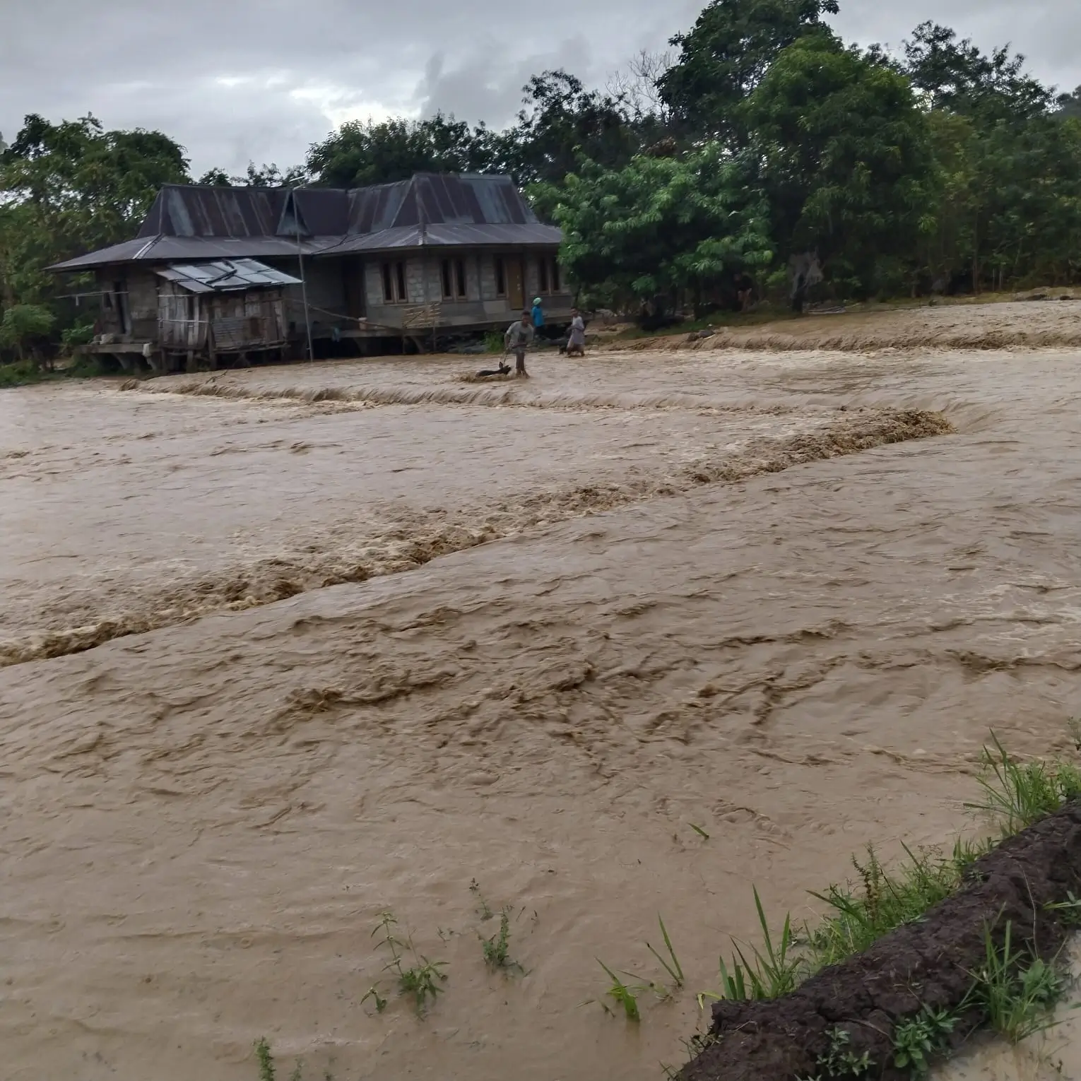 Nagekeo Tanggap Darurat Banjir Bandang hingga 30 September