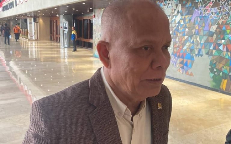 wakil_ketua_baleg_dpr_sturman_panjaitan