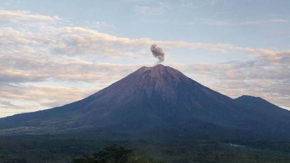 Semeru Erupsi